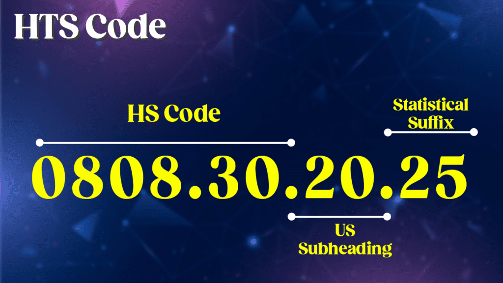 What is HS Code / HTS Code? Explained in Detail Freight Forwarding